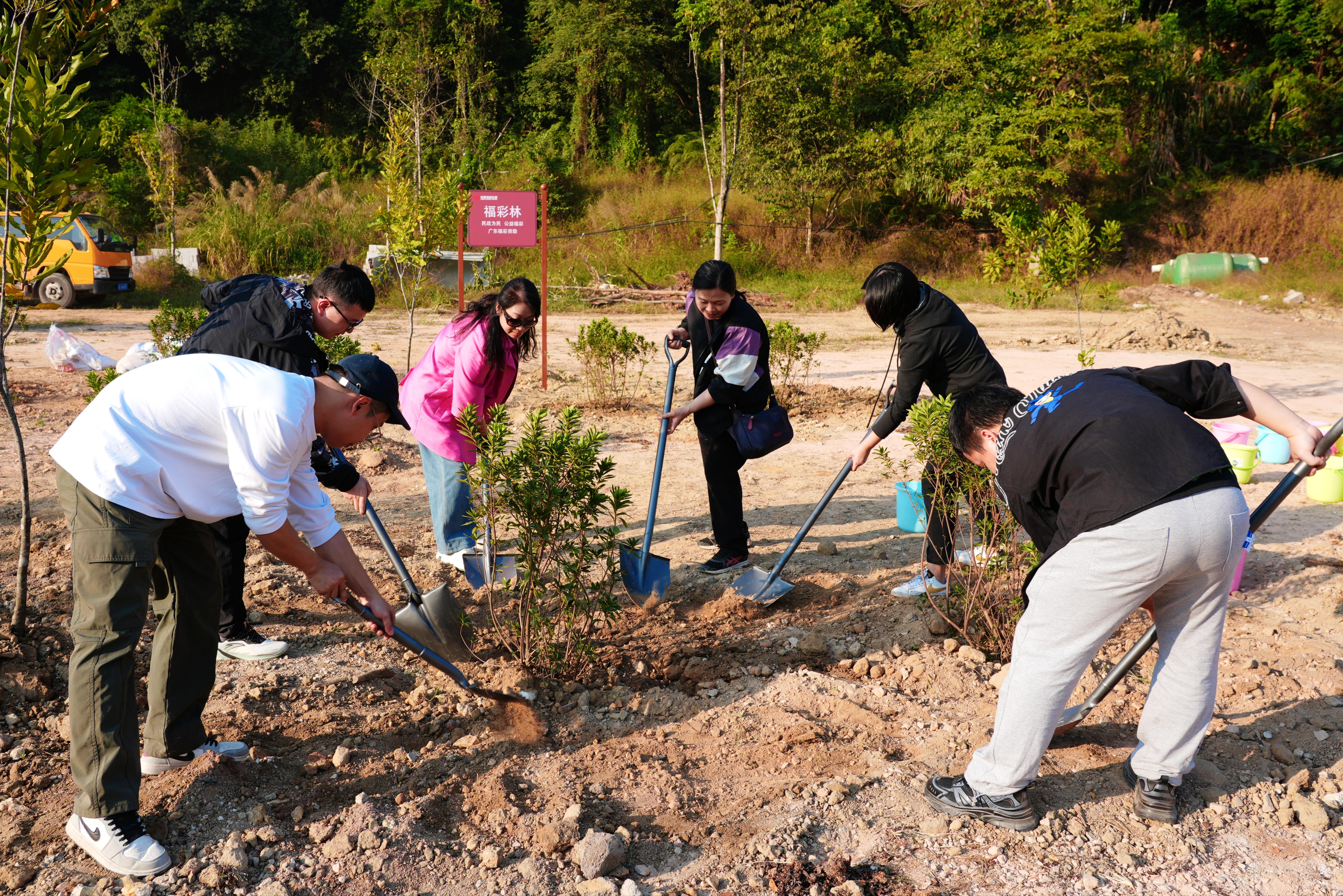 图片[1]-传递公益初心，播种绿色希望，广东福彩连续三年助力义务植树活动-上淘有品虚拟资源下载