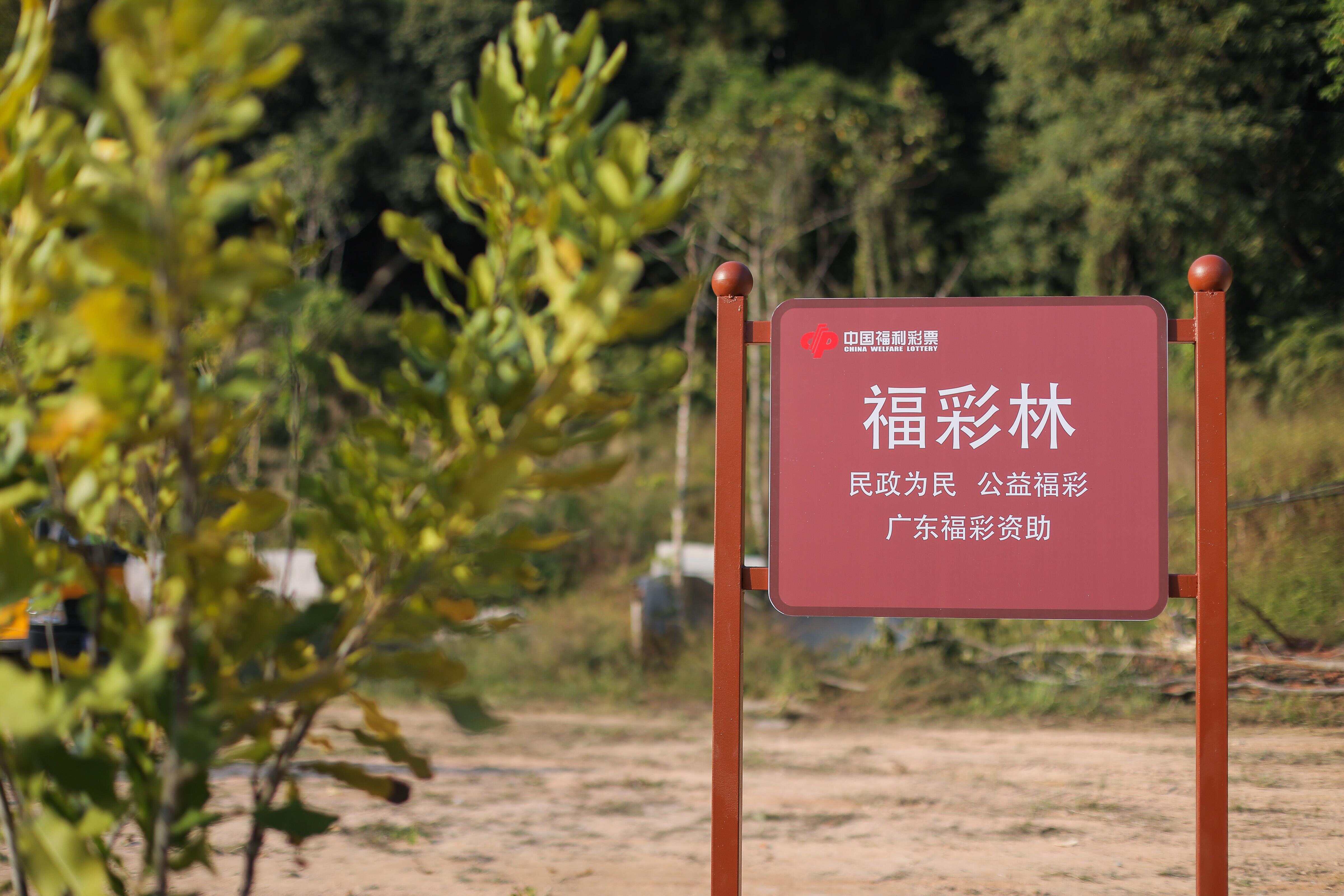 图片[1]-传递公益初心，播种绿色希望，广东福彩连续三年助力义务植树活动-上淘有品虚拟资源下载